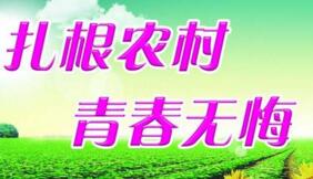 大學(xué)生村官選調(diào)生是公務(wù)員嗎？村官選調(diào)生和選調(diào)生什么區(qū)別？有編制嗎？