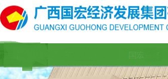 廣西國宏集團(tuán)董家政簡歷，陳海波、李倩、羅勇、唐建琦、覃銘、鐘麗、白衛(wèi)夫、鄒煥鑫領(lǐng)導(dǎo)班子