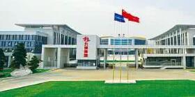 九洲集團董事長杜力平簡歷，王國春四川綿陽九洲集團領導班子什么級別？