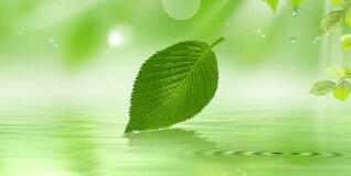 南寧八菱科技怎么樣？待遇怎樣，為什么被譴責(zé)？年產(chǎn)多少錢？