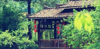 廣西廣投文化旅游公司梅以軍簡歷，廣西廣投文旅和廣西投資集團啥關(guān)系？