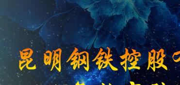 昆鋼集團(tuán)王素琳簡(jiǎn)歷，馬德、陳清泉、王存璘、蘇玲翠、王云萍、錢永祥、孫小躍、官德海、高冰、杜陸軍、趙永平領(lǐng)導(dǎo)班子