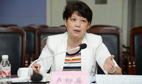 盧柳屏簡(jiǎn)歷：柳州市副市長(zhǎng)盧柳屏，曾任柳州績(jī)效辦主任