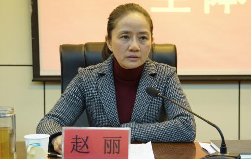 趙麗被查，崇左市委常委、大新縣委書記趙麗，曾任崇左市委常委、統戰部部長（趙麗簡歷）