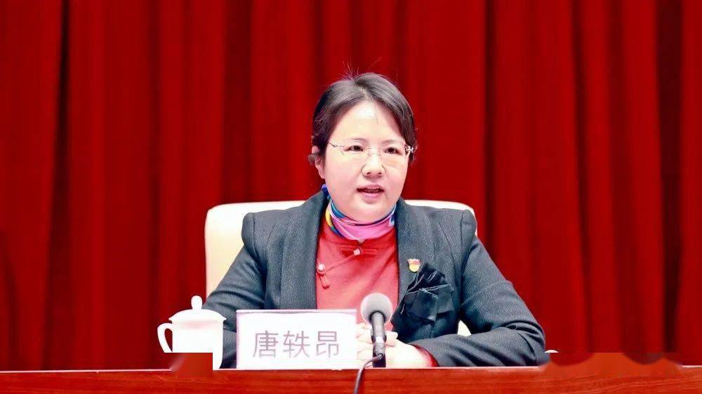 唐軼昂任防城港市委副書記、市長候選人，班忠柏任廣西民宗委主任（唐軼昂|班忠柏簡歷）