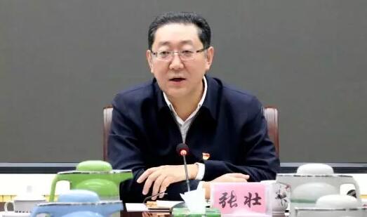 張壯簡歷：柳州市委副書記、市長張壯，曾任玉林市委副書記，貴港市委常委、常務(wù)副市長