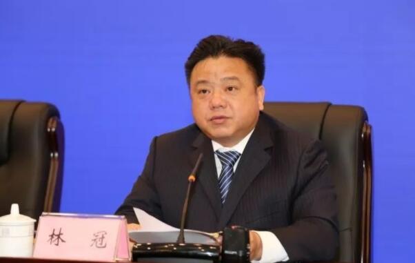 林冠簡歷：林冠任欽州市委書記，曾任賀州市委書記、市長，北部灣投資集團董事長